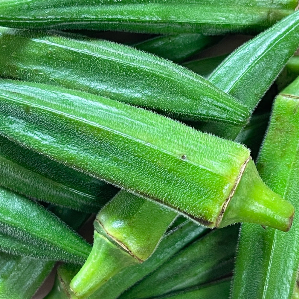冷凍おくら輪切り 100g | オーガニック