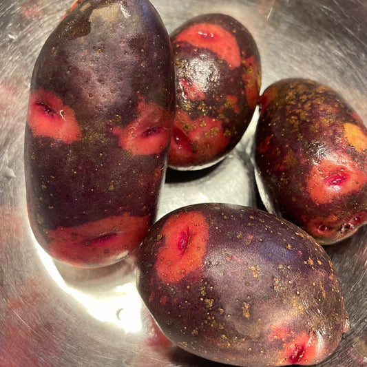 【2025年12月から】無農薬 デストロイヤー(じゃがいも)