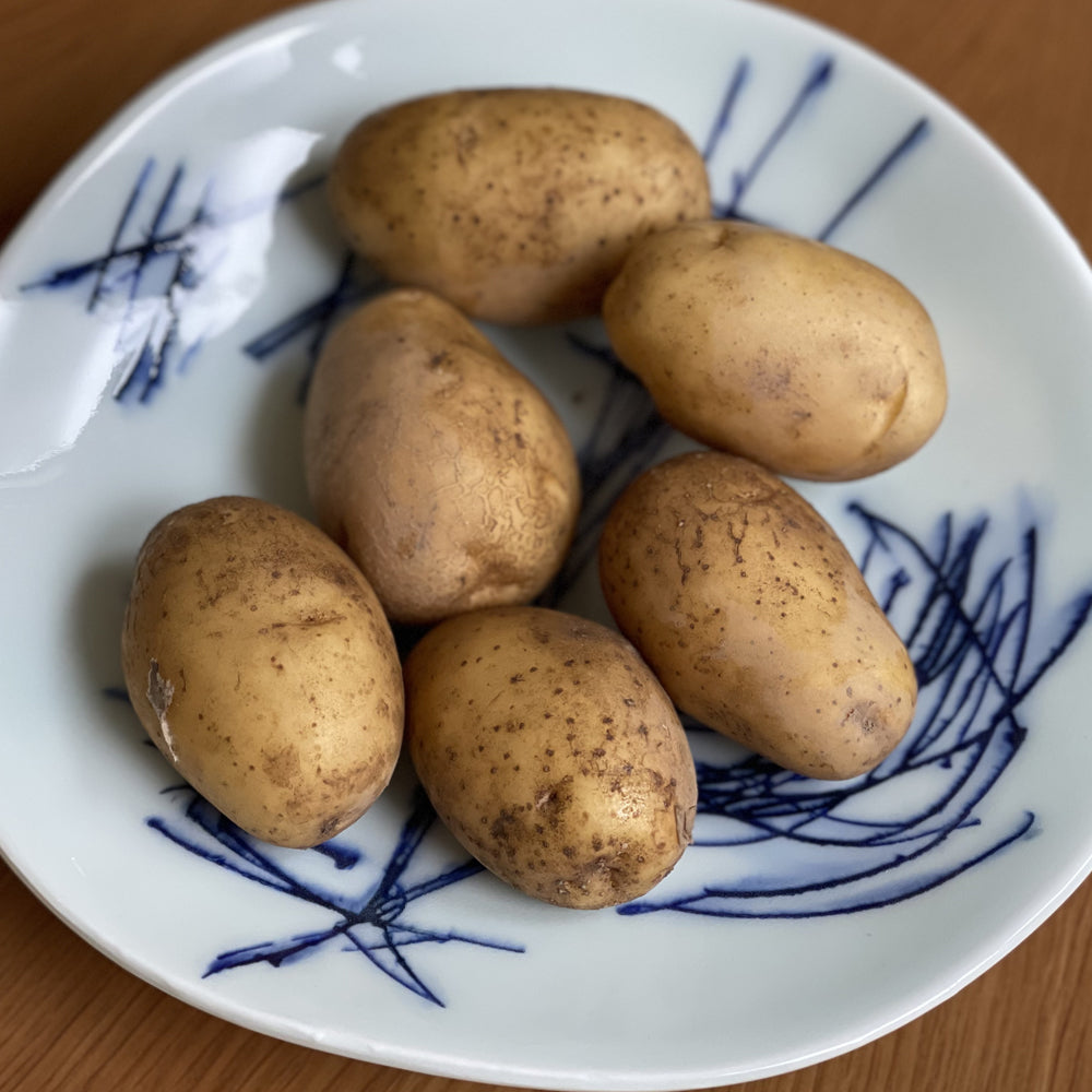 シンシア豊川さんのじゃがいも/自然栽培キタアカリ2㎏+シンシア2㎏