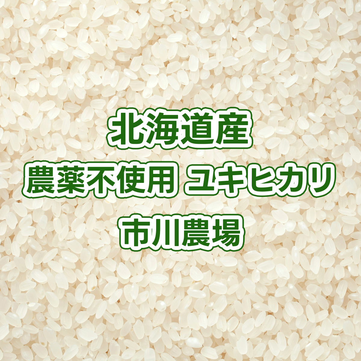 【次回発送予定10/23】北海道産玄米 農薬不使用ユキヒカリ(低タンパク米) 市川農場