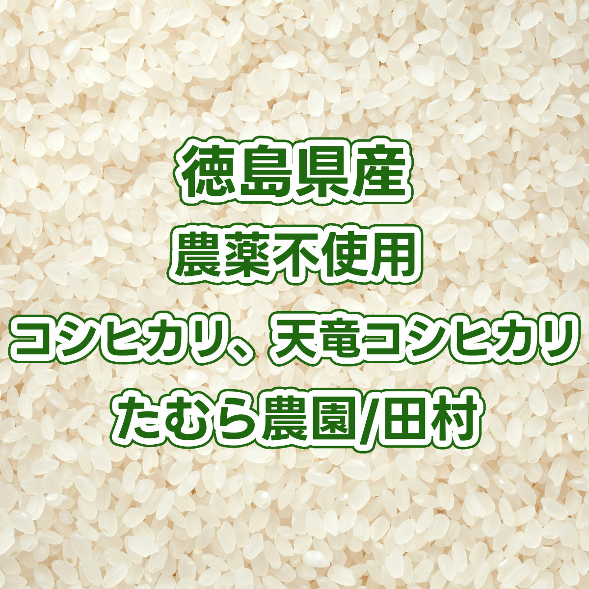 【次回発送予定10/16】徳島県産白米 農薬不使用コシヒカリ、天竜コシヒカリ たむら農園/田村さん