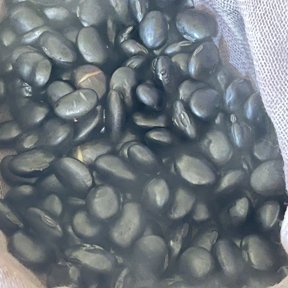渡部さんの黒豆(農薬・化学肥料不使用)