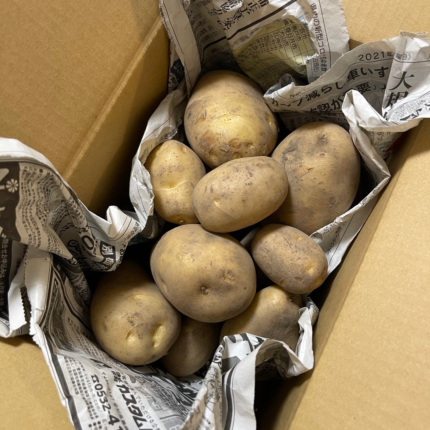 自然栽培じゃがいもデジマ2Kg
