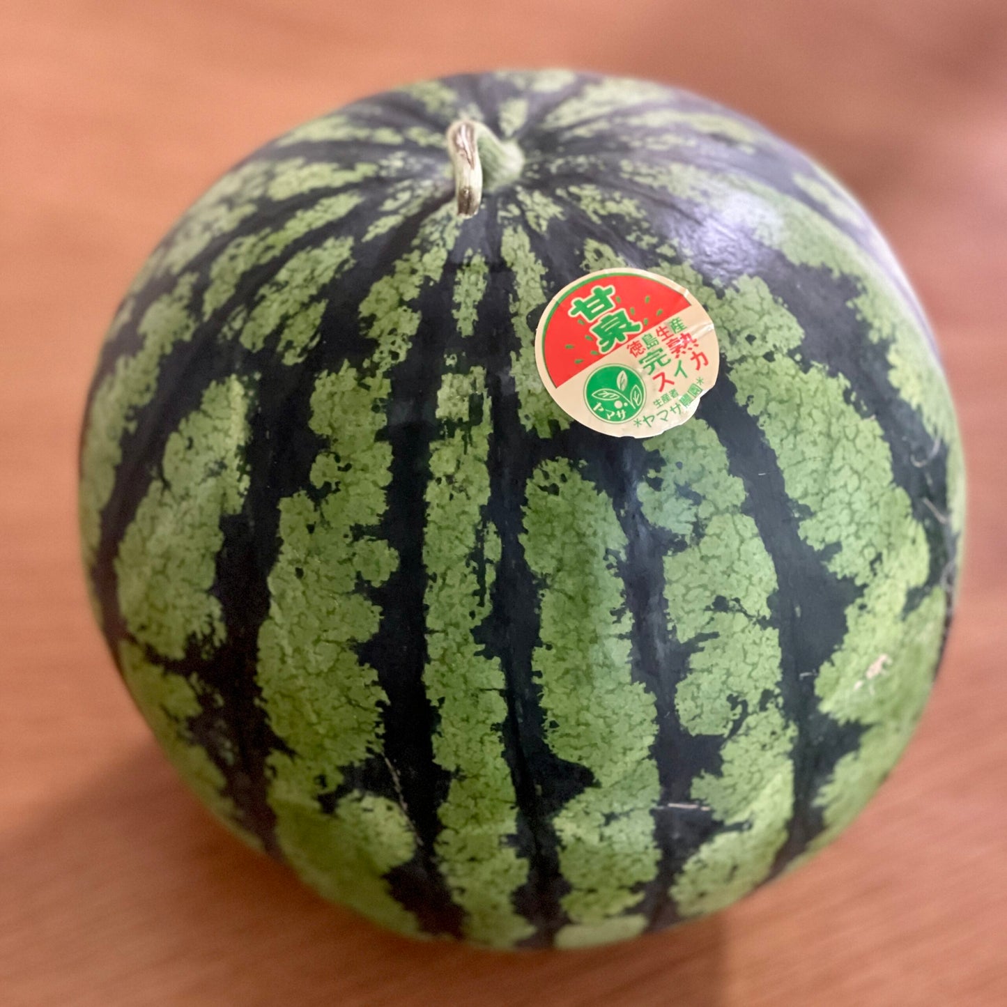 無農薬スイカ