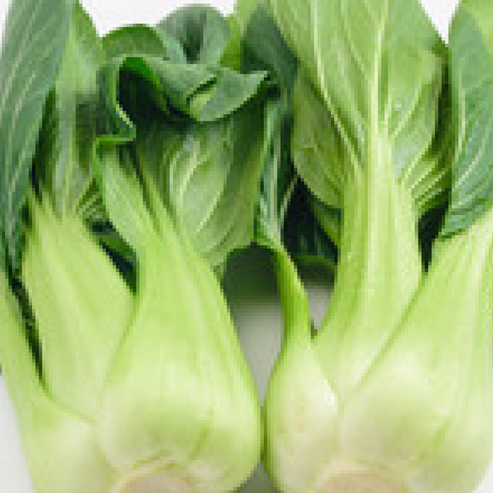 冷凍チンゲン菜/150g | オーガニック