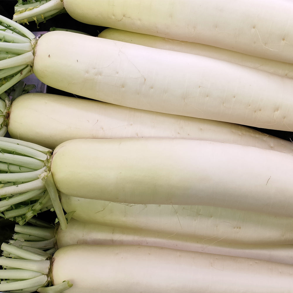 冷凍だいこん 150g | オーガニック