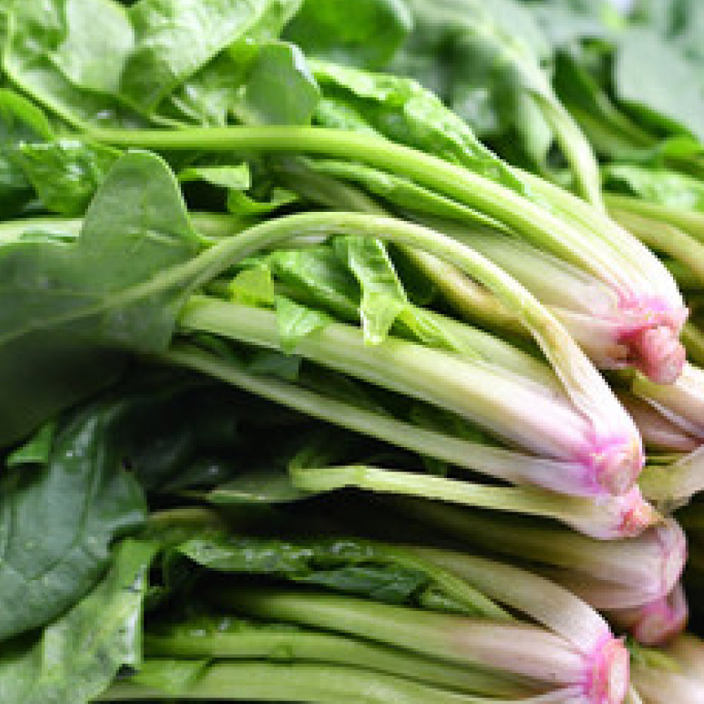 冷凍野菜セット(定期便有) | オーガニック