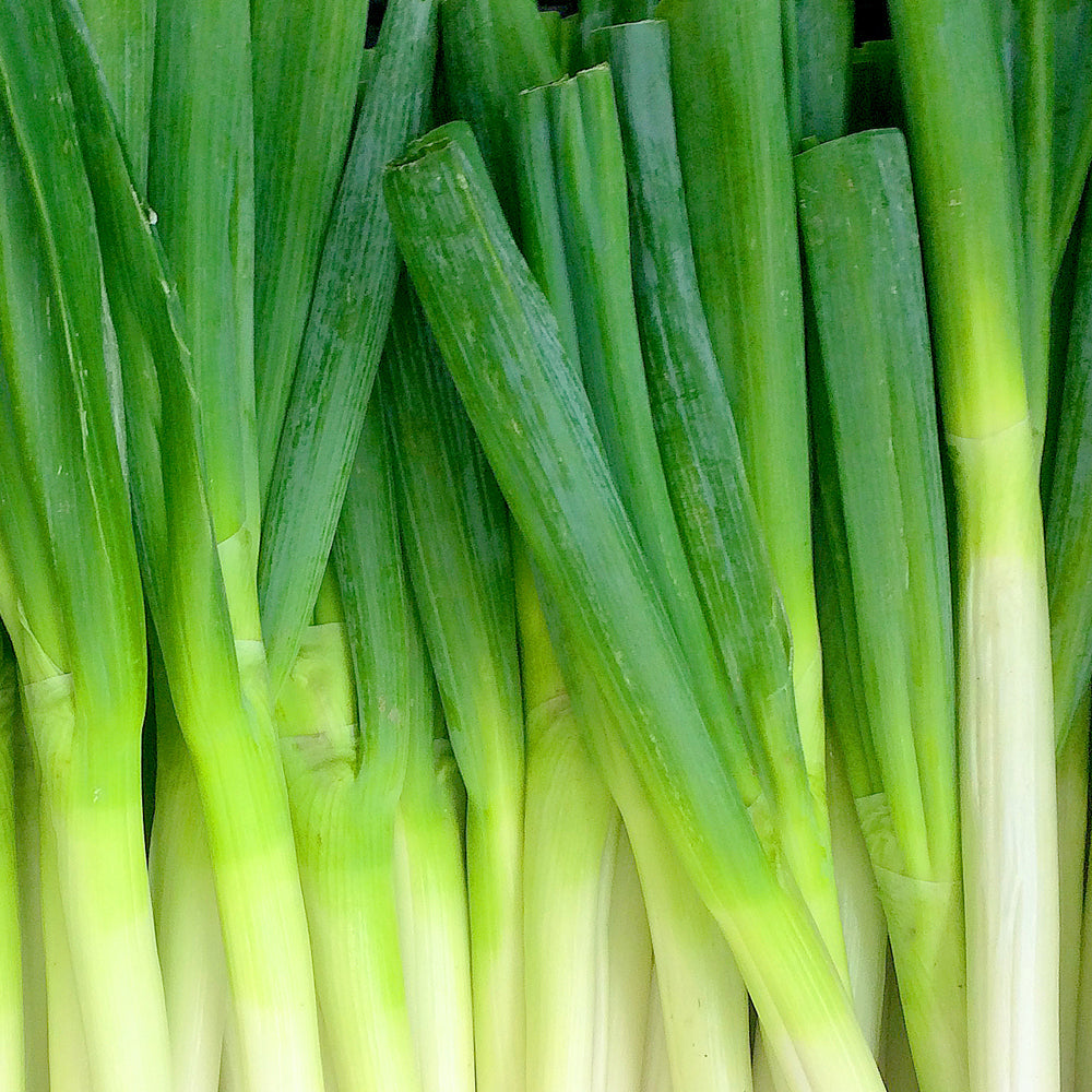 冷凍野菜セット(定期便有) | オーガニック