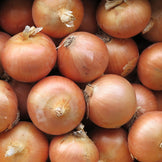 冷凍玉ねぎ100g | オーガニック