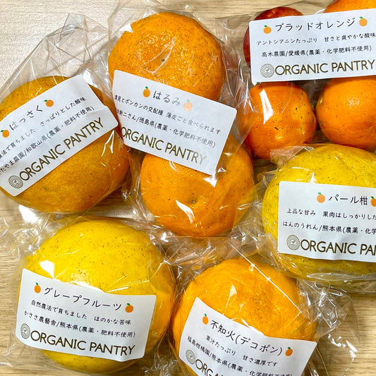 柑橘おまかせセット(2㎏)