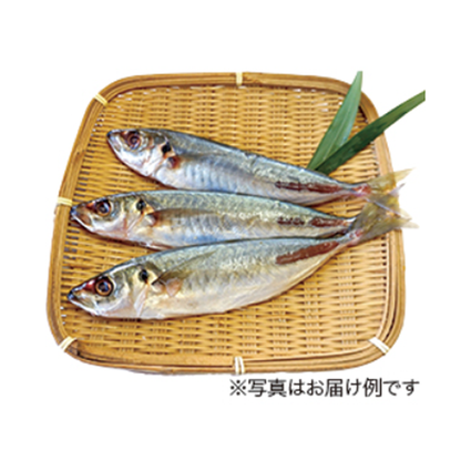 紀伊水道のお魚セット/下ごしらえ済み