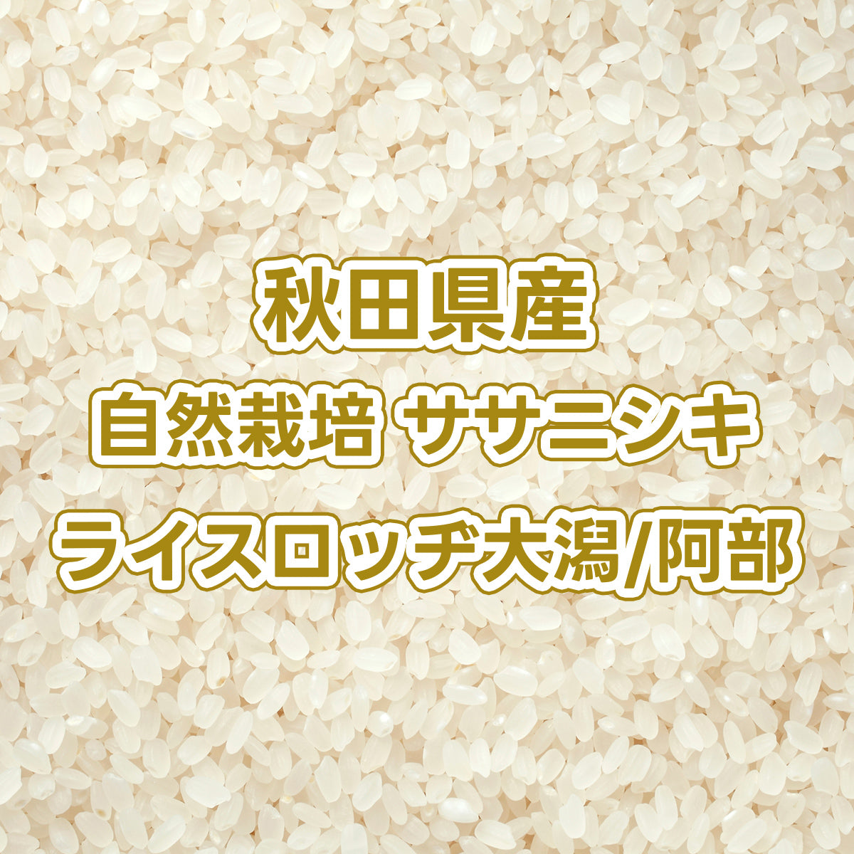 【次回発送予定11/27】秋田県産玄米 自然栽培 ササニシキ ライスロッヂ大潟/阿部さん