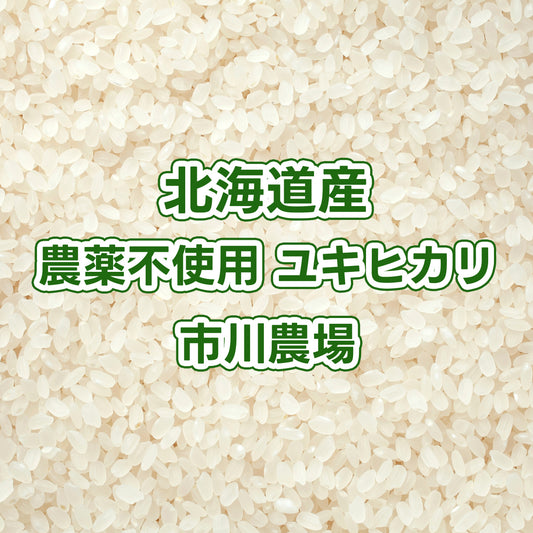 【次回発送予定10/23】北海道産玄米 農薬不使用ユキヒカリ(低タンパク米) 市川農場