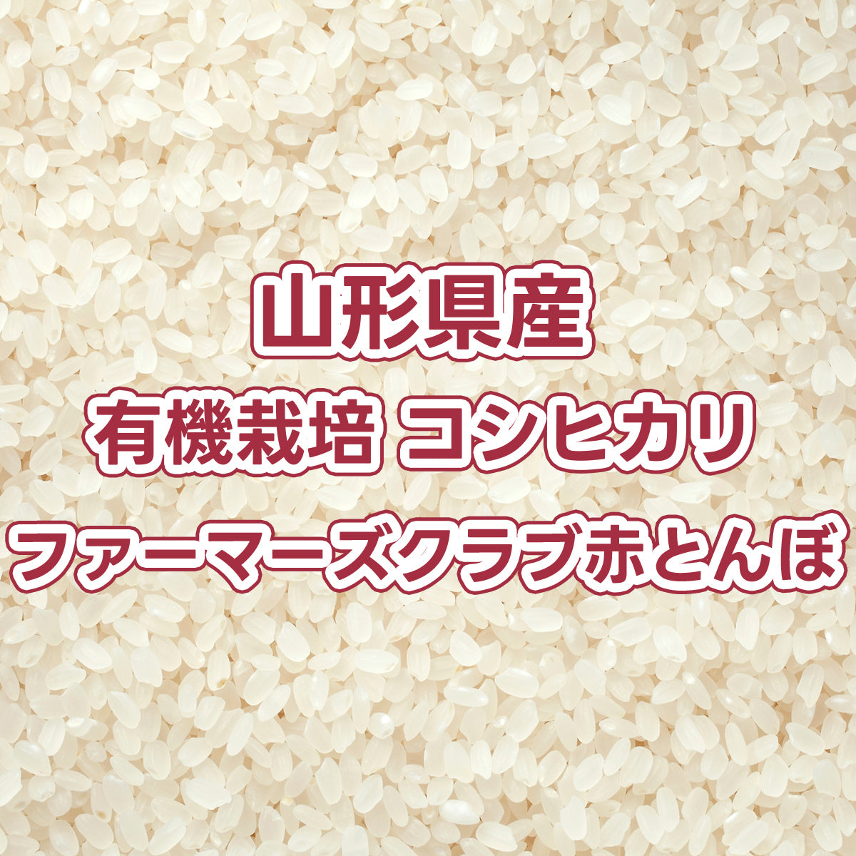 【次回発送予定10/30】山形県産玄米 有機栽培コシヒカリ ファーマーズクラブ赤とんぼ