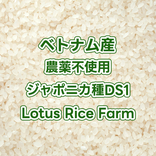 【販売中/予約不要】ベトナム産玄米 農薬不使用ジャポニカ種DS1 Lotus Rice Farm