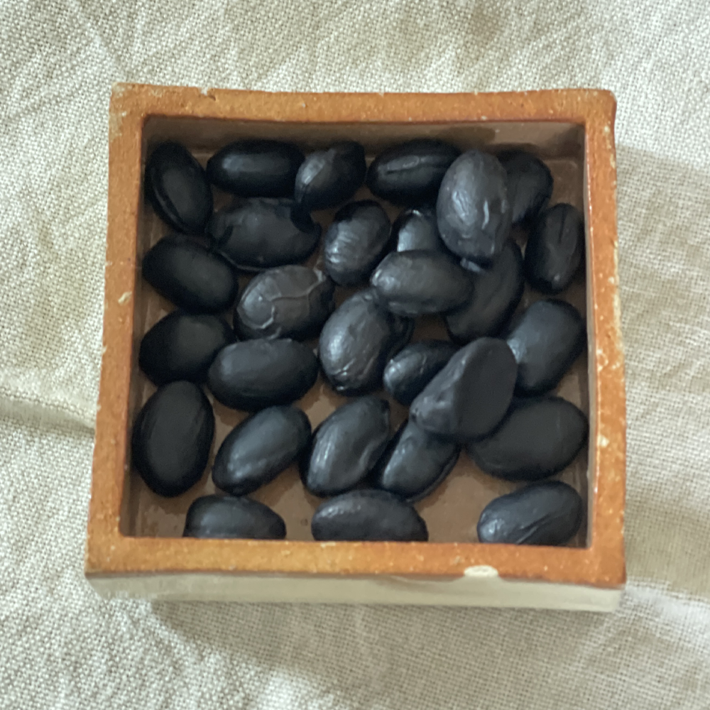 自然農法黒豆